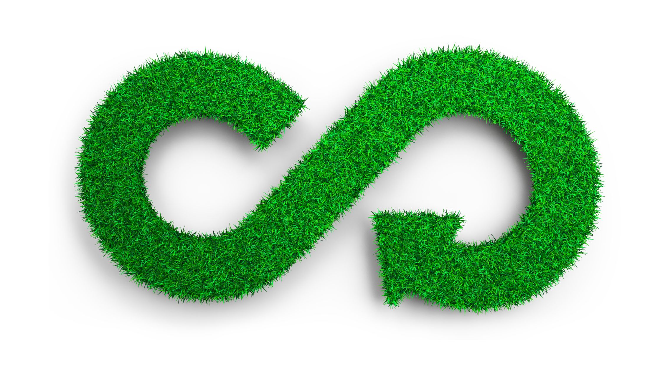 infinity symbol made up of grass
